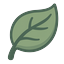 Plant origin icon